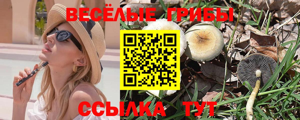 Галлюциногенные грибы прущие грибы Ноябрьск