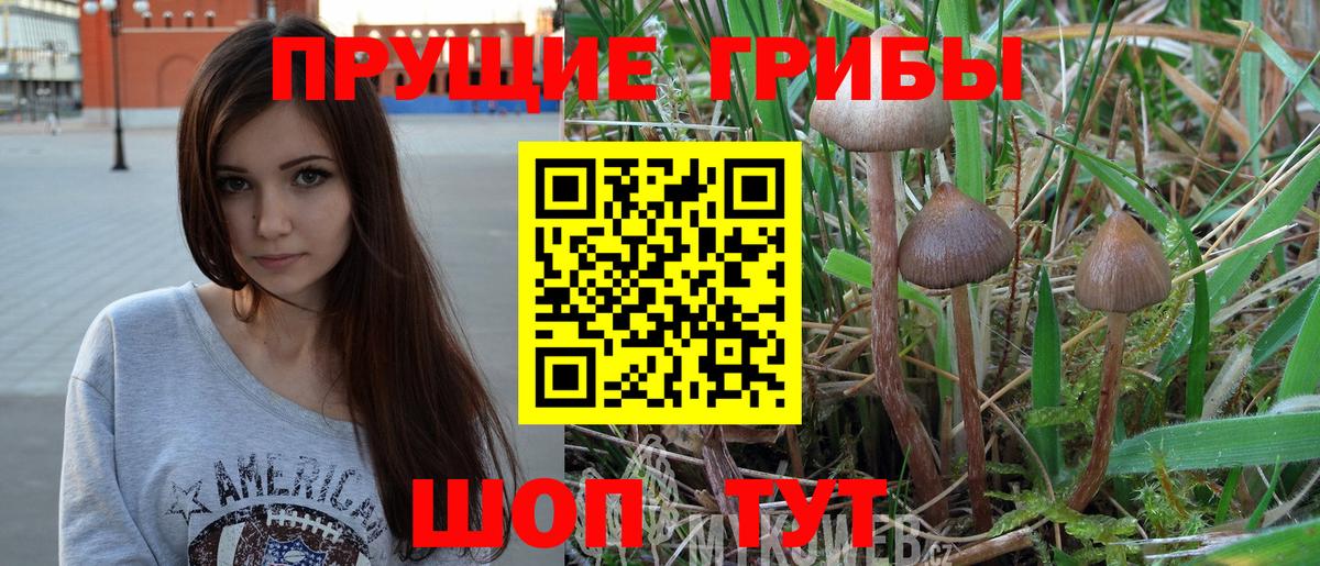 Ноябрьск  сколько стоит  Вход с VPN  Галлюциногенные грибы MAGIC MUSHROOMS 